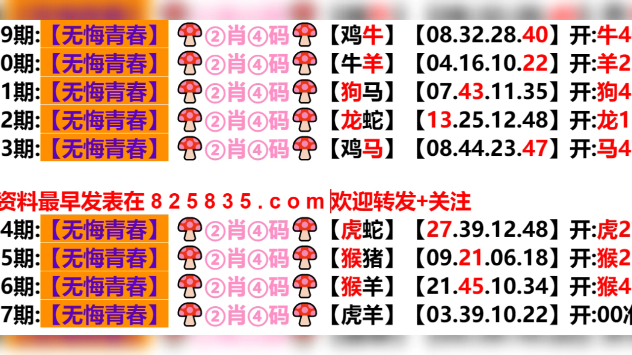 2024年新奥门天天开彩_最佳选择_V86.96.25